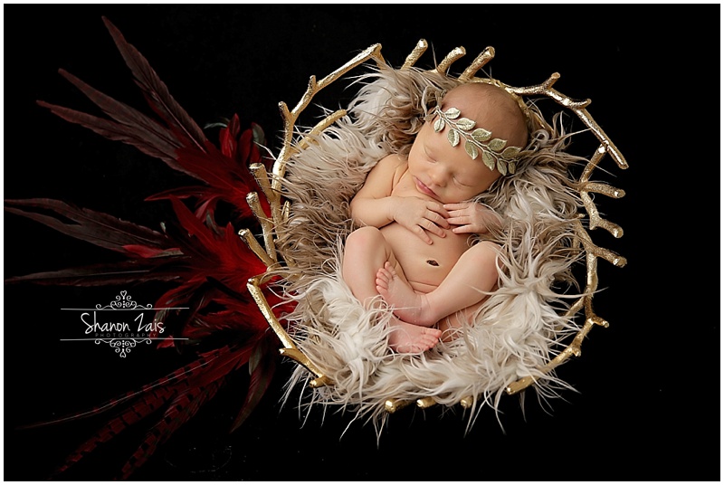 Rockwall Newborn Photographer_0097.jpg