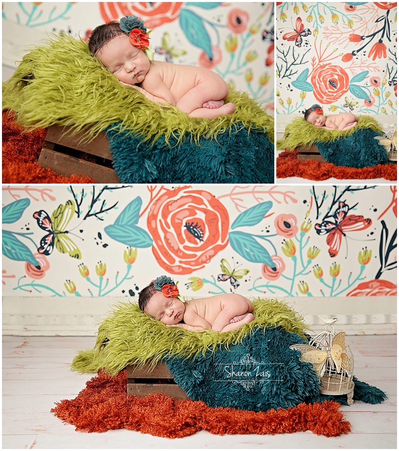 Rockwall Newborn Photographer_0159.jpg